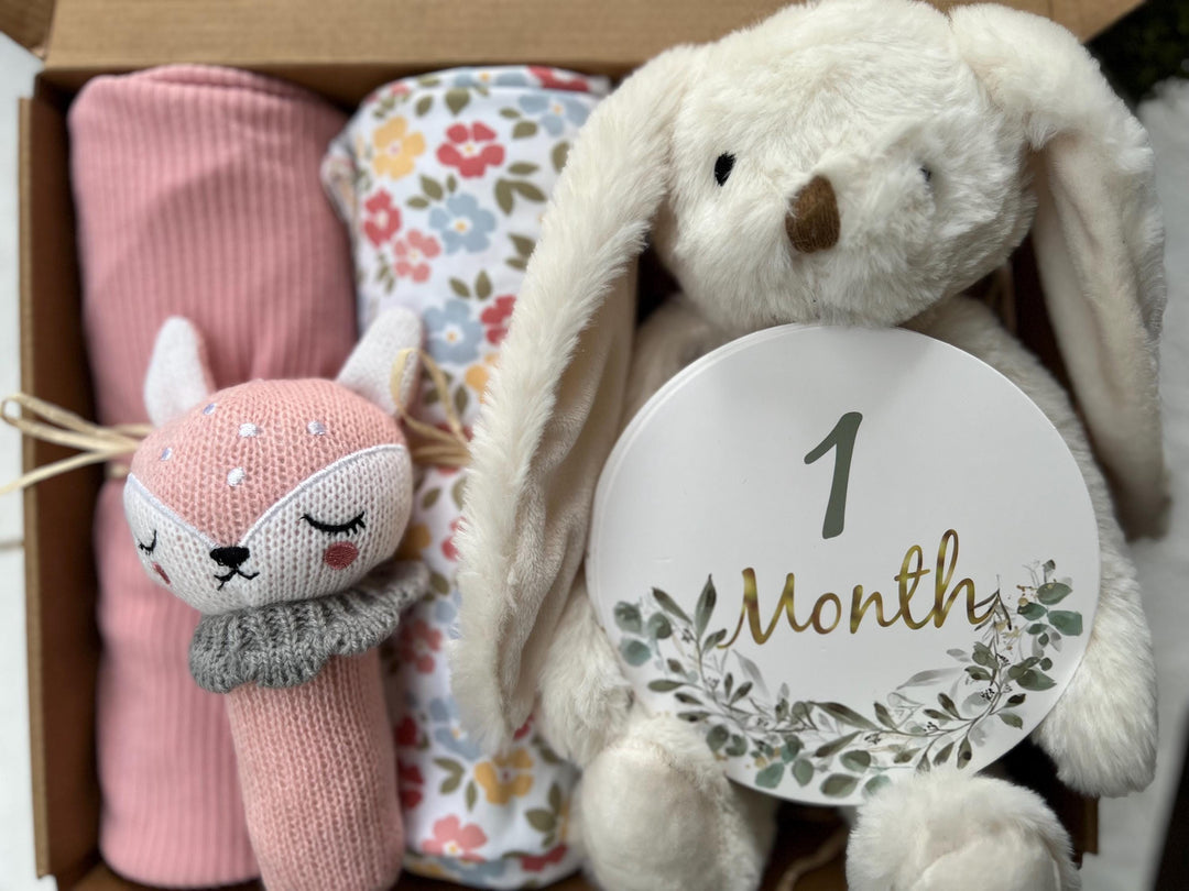 nursery art print baby nursery bedroom decor Newborn Baby Gift Box – 1 Month Milestone Plaque, Bunny Plush, Deer Rattle & Swaddles – Baby Shower Hamper, New Mum Gift, Box 6