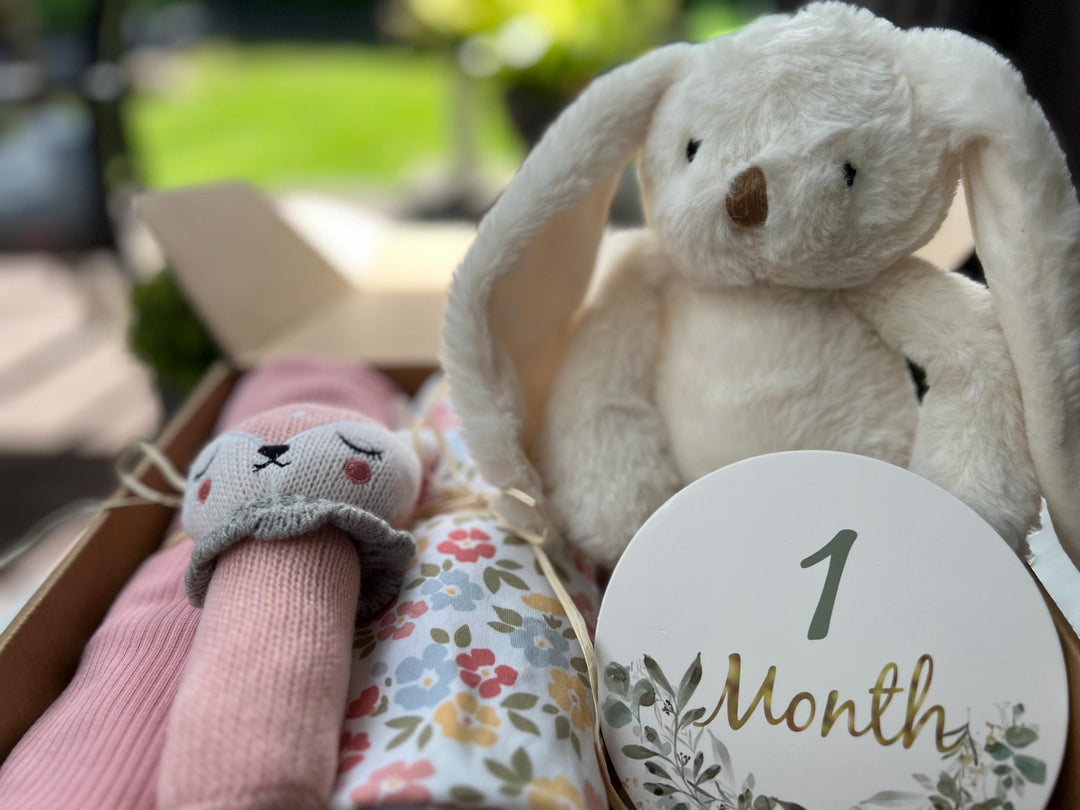 nursery art print baby nursery bedroom decor Newborn Baby Gift Box – 1 Month Milestone Plaque, Bunny Plush, Deer Rattle & Swaddles – Baby Shower Hamper, New Mum Gift, Box 6