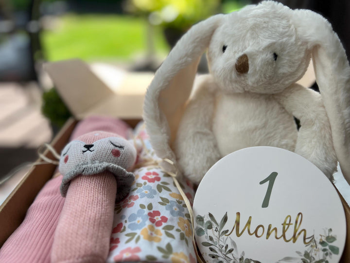 nursery art print baby nursery bedroom decor Newborn Baby Gift Box – 1 Month Milestone Plaque, Bunny Plush, Deer Rattle & Swaddles – Baby Shower Hamper, New Mum Gift, Box 6
